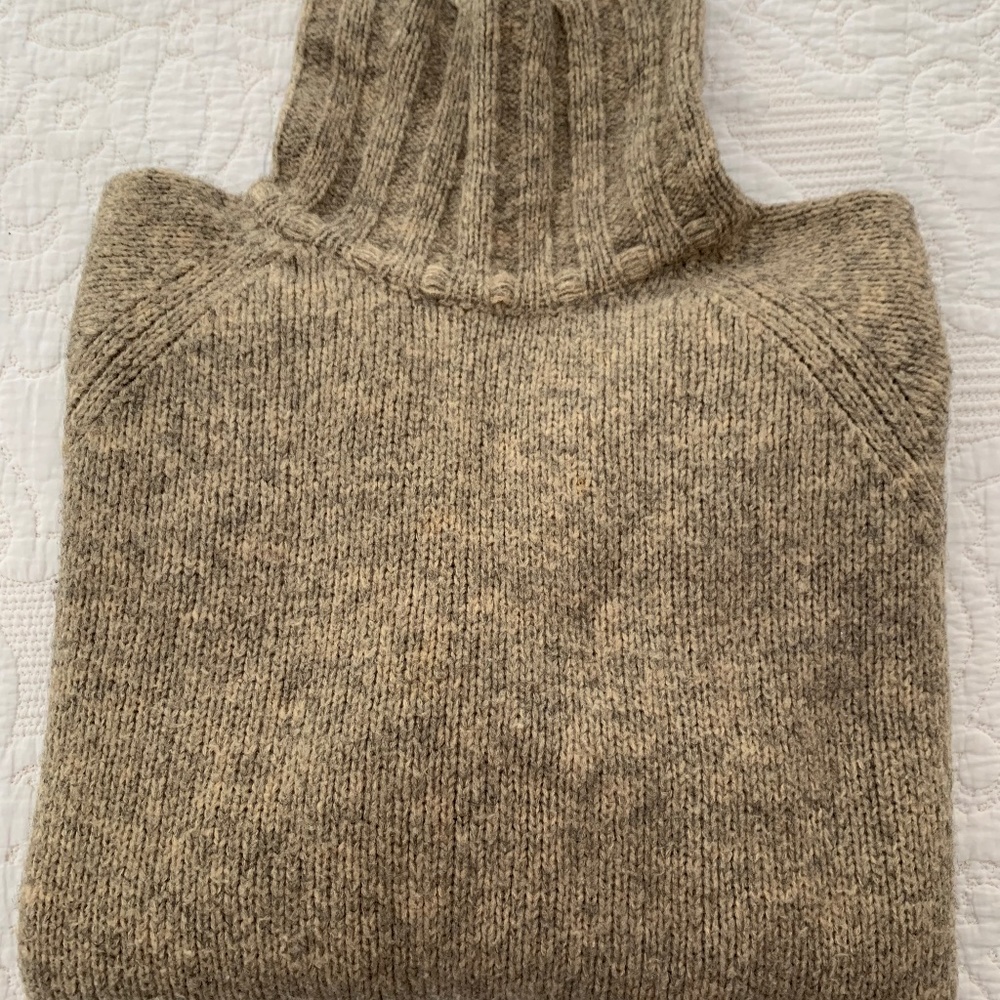 J. Crew merino Wool Oversized Turtleneck